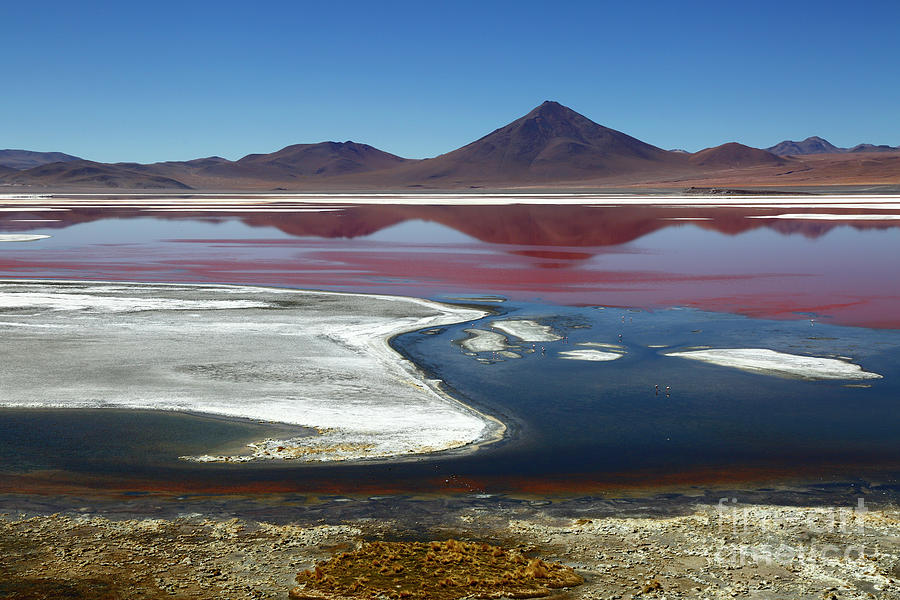 Laguna Colorada and Cerro Pabellon Bolivia Photograph by James Brunker