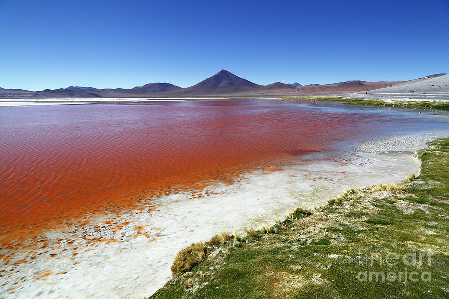 Laguna Colorada and Pabellon Volcano panorama Bolivia Photograph by James Brunker