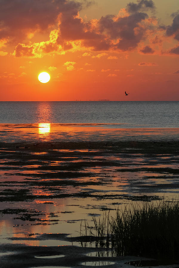 Laguna Madre Bay Sunset Photograph by Steve Templeton Laguna Madre Bay Sunset Photograph by Steve Templeton