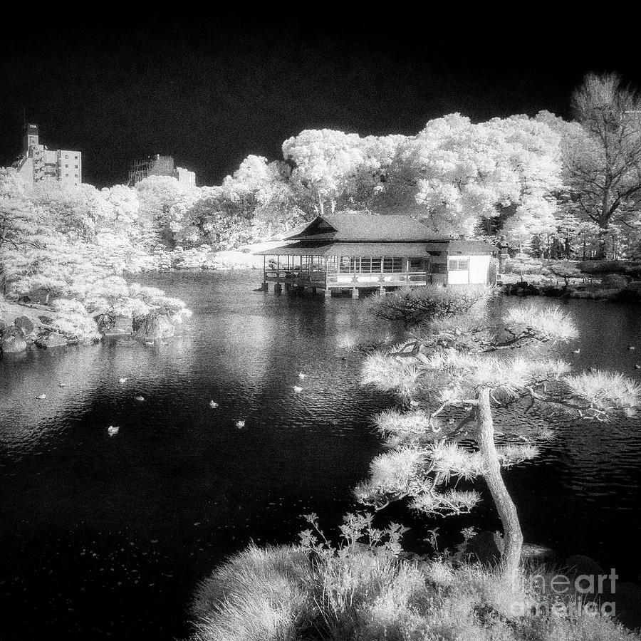 Lake and Pavilion, Kiyosumi Garden Photograph by Colin and Linda McKie