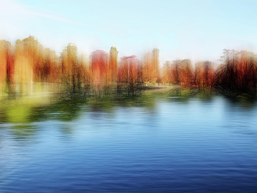 Lake and Trees Digital Art by Terry Davis