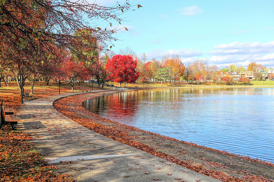 Lake Anna Western Shore in the Fall Photograph by Dennis Lundell