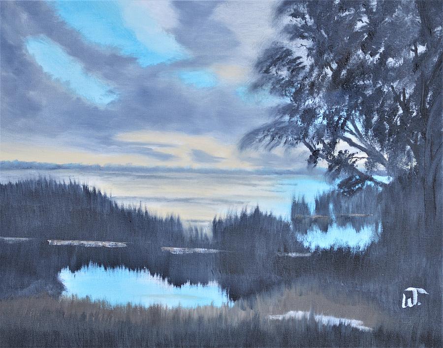 Lake Apopka November Sunset Painting