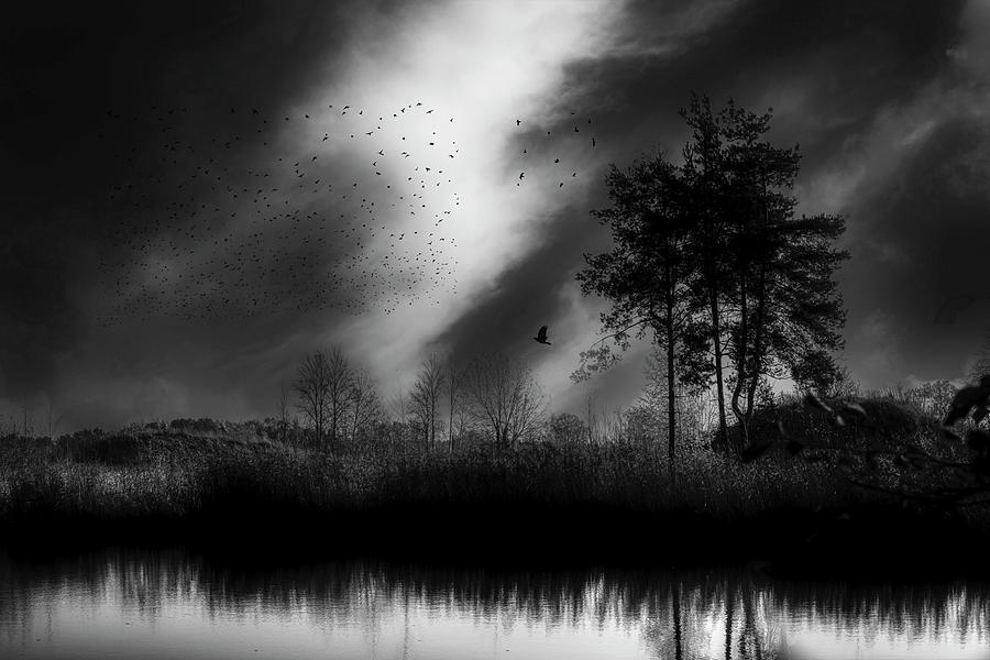 Lake Art In Monochrome  Photograph by Aleksandrs Drozdovs