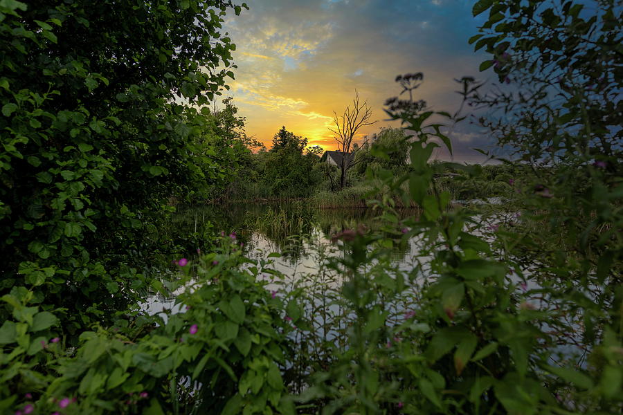 Lake At July Evening Latvia  Photograph by Aleksandrs Drozdovs