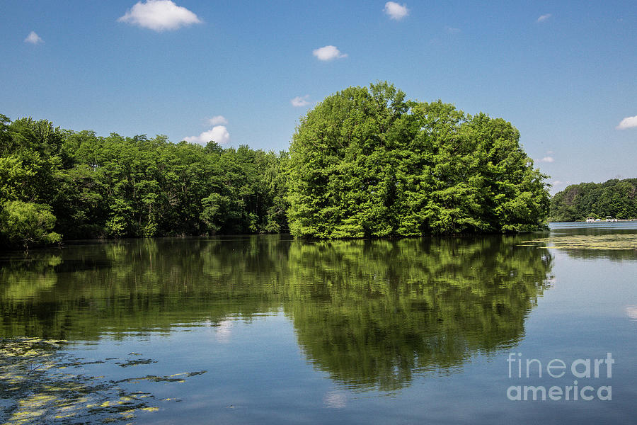 Tree Photograph - Lake at Moraine View State Park by Kathy McClure