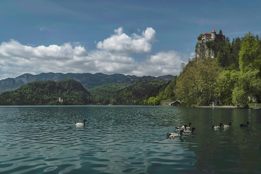 Lake Bled in Slovenia  Photograph by Sven Brogren