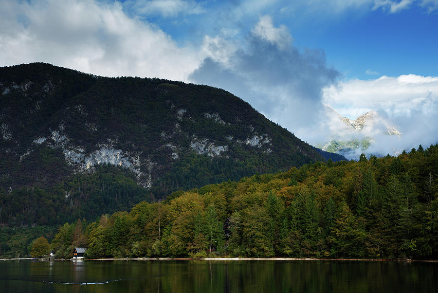 Lake Bohinj in Slovenia Photograph by Ian Middleton