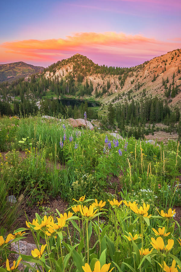 Mountain Photograph - Lake Catherine Sunset by Wasatch Light