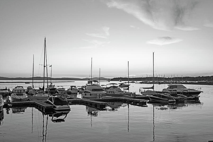 Lake Champlain Sunset From Burlington Vermont Waterfront Park Golden Sky Black and White Photograph by Toby McGuire