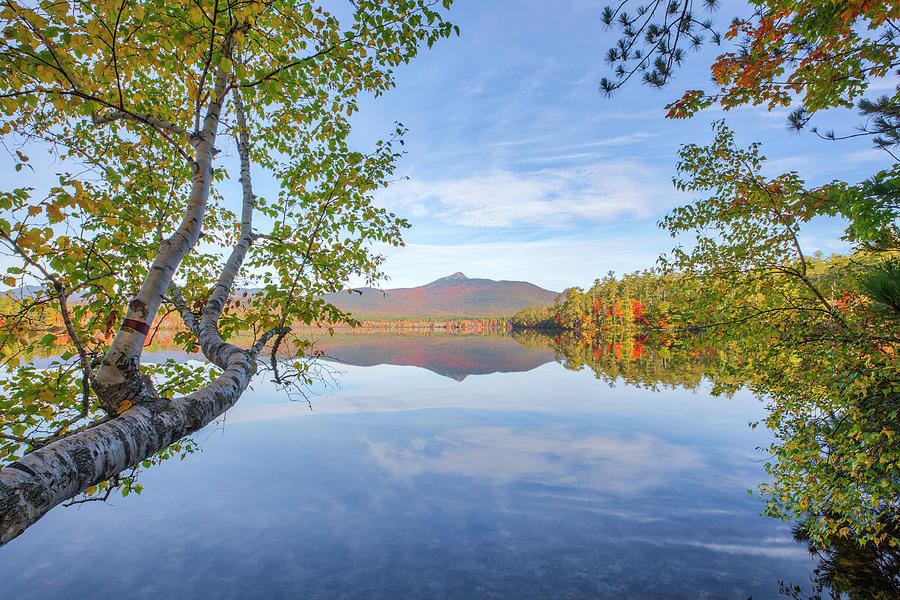 Lake Chocorua New Hampshire White Mountains  Photograph by Juergen Roth