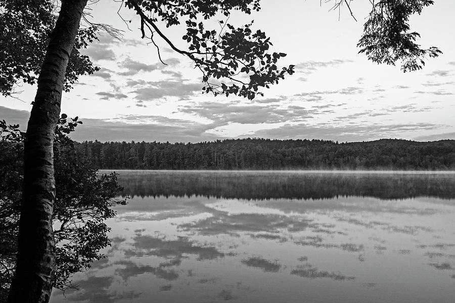 Lake Chocorua Sunrise Tamworth New Hampshire NH Black and White BW Photograph by Toby McGuire
