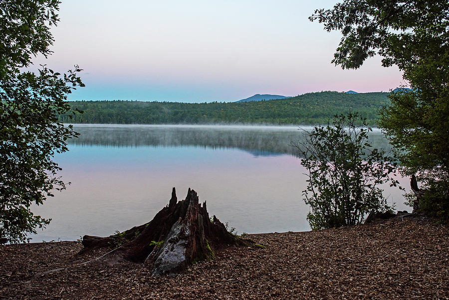 Lake Chocorua Sunrise Tamworth New Hampshire NH Tree Stump Photograph by Toby McGuire