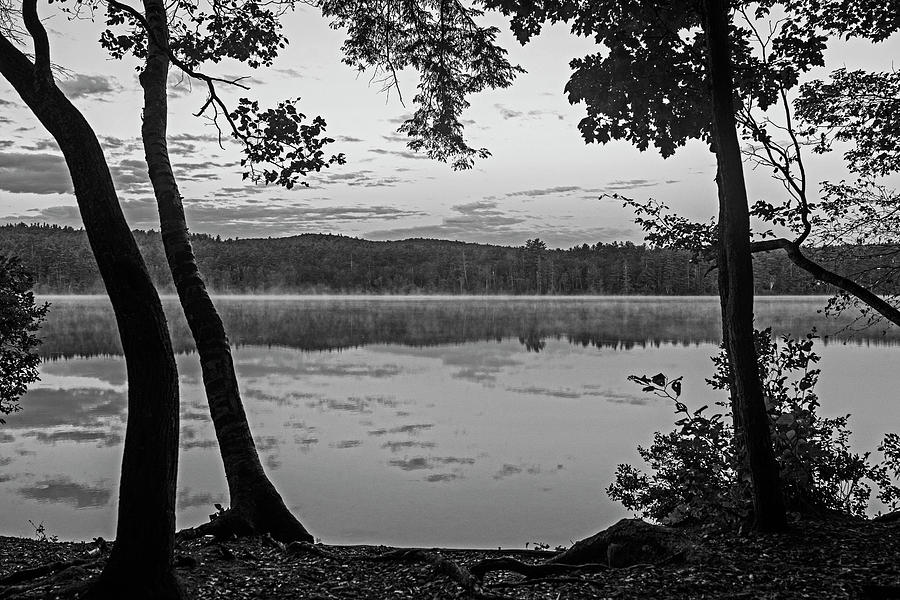 Lake Chocorua Sunrise Tamworth New Hampshire NH Trees Black and White BW Photograph by Toby McGuire