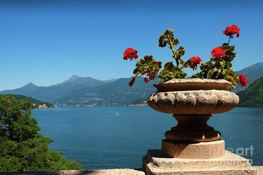 Garden Photograph - Lake Como from Villa Balbionella by Brenda Kean