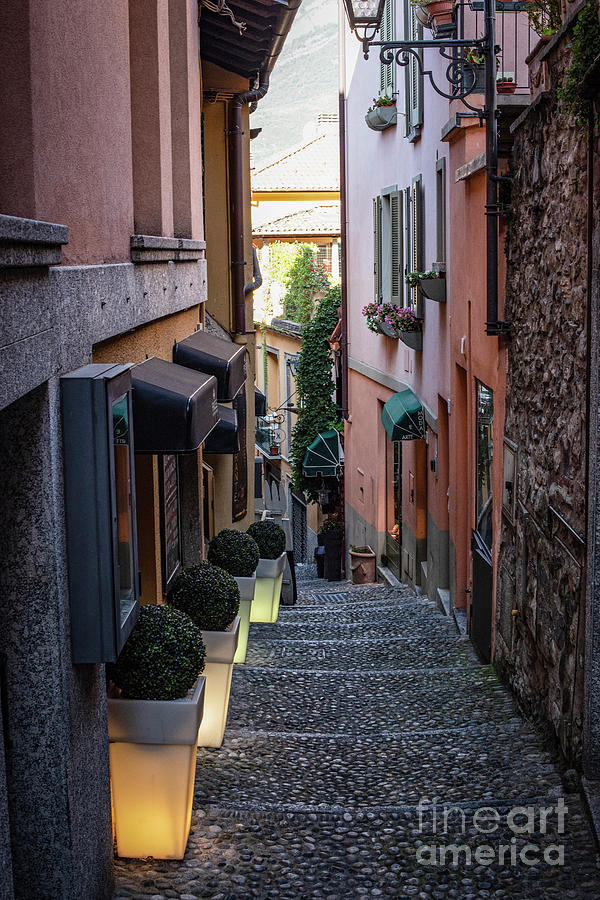Lake Como-steps Within Bellagio Photograph by Judy Wolinsky