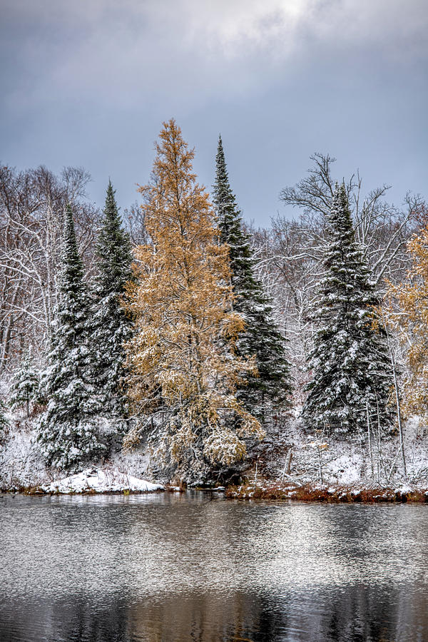 Lake country early snow Photograph by Paul Freidlund