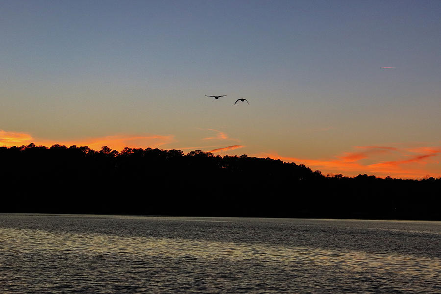 Lake Cove Sunset Glide Photograph by Ed Williams