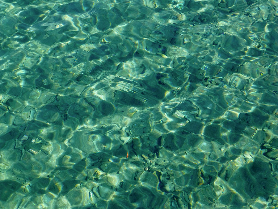 Lake Crescent Closeup Photograph by Amelia Racca