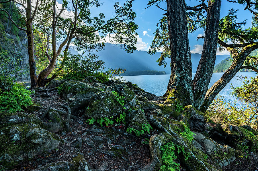 Landscape Photograph - Lake Crescent Viewpoint by Bob VonDrachek