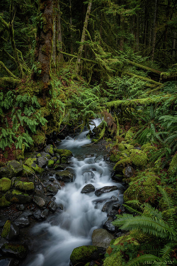 Lake Crescent Waterfall 2 Photograph by Mike Penney - Pixels