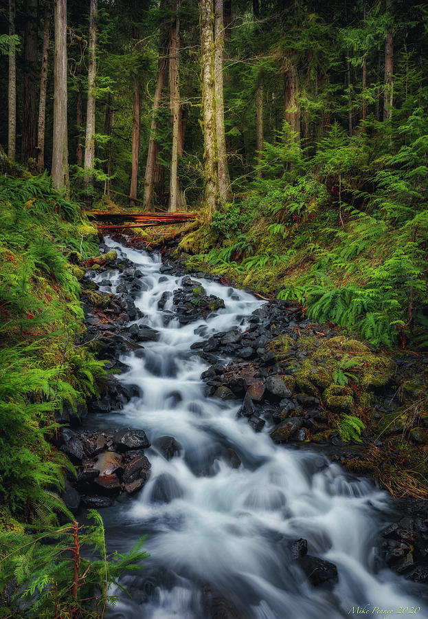 lake Crescent Waterfall 5 Photograph by Mike Penney - Fine Art America