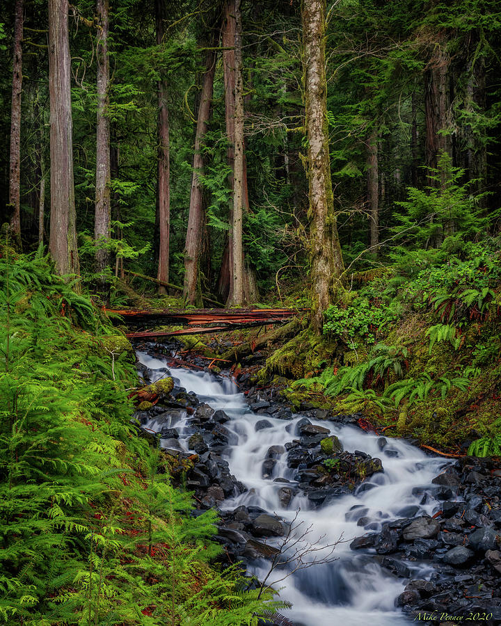 Lake Crescent waterfall 7 Photograph by Mike Penney