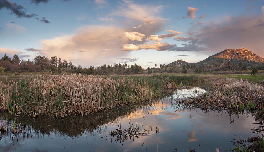 Lake Cuyamaca Reeds and Clouds Photograph by William Dunigan