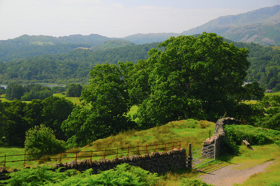 Lake District, England Photograph by Harry Robertson