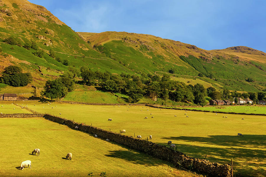 Lake District Fields Photograph by Andrew Soundarajan