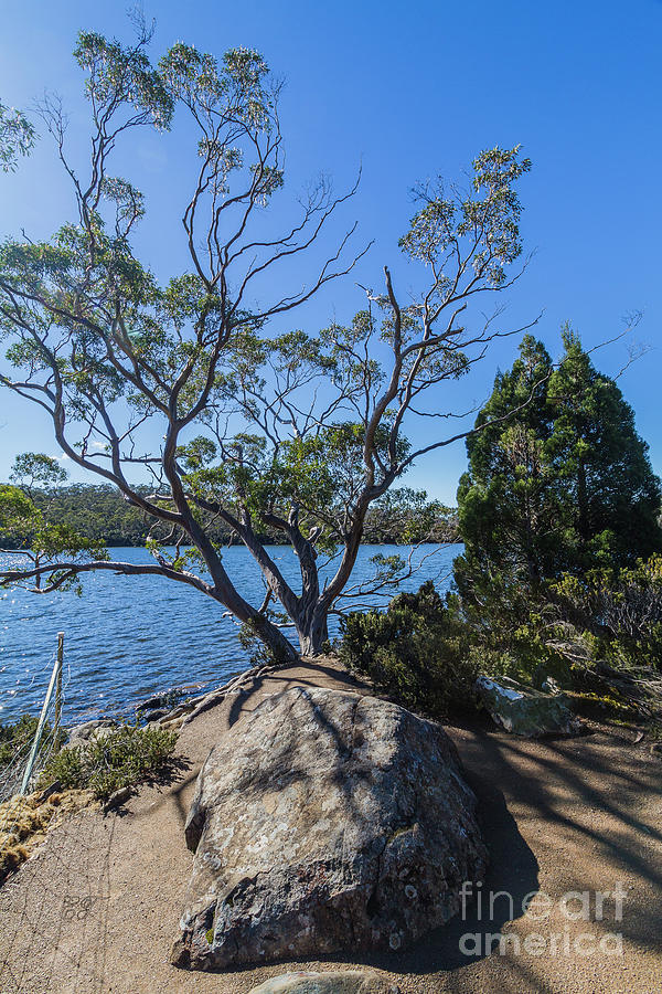 Lake Dobson, Tasmania, Australia 2 Photograph by Elaine Teague