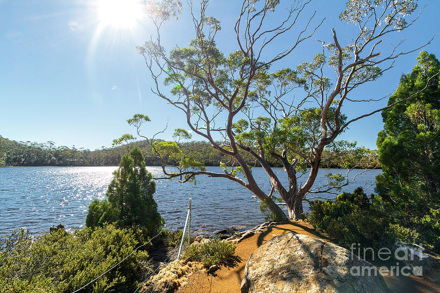 Lake Dobson, Tasmania, Australia 3 Photograph by Elaine Teague