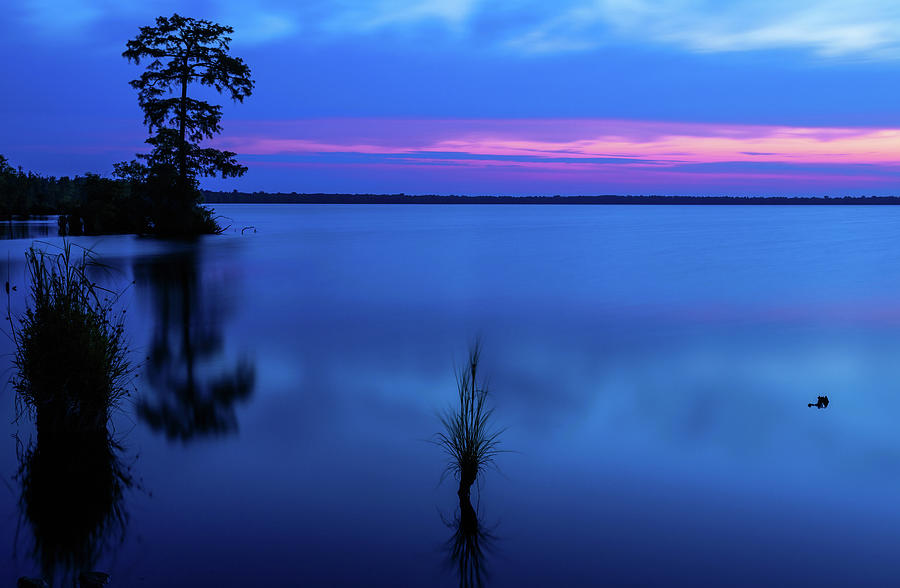Lake Drummond Photograph - Lake Drummond at Twilight by Lori A Cash