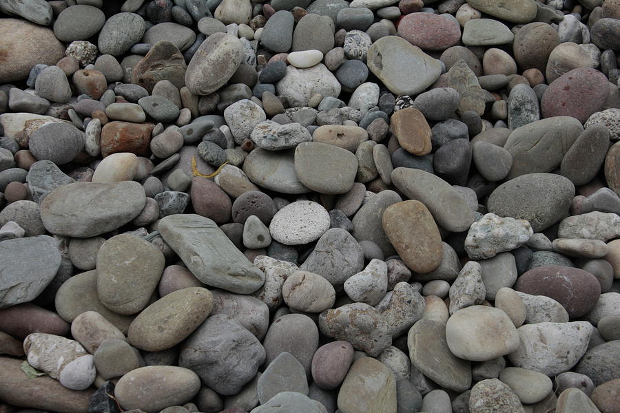 Lake Erie Pebbles and Stones Photograph by Valerie Collins