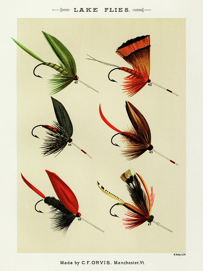 Sports Drawing - Lake Fishing Flies IV from Favorite Flies and Their Histories by Mary Orvis Marbury