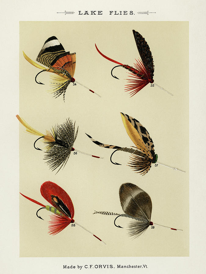 Sports Drawing - Lake Fishing Flies VIII from Favorite Flies and Their Histories by Mary Orvis Marbury