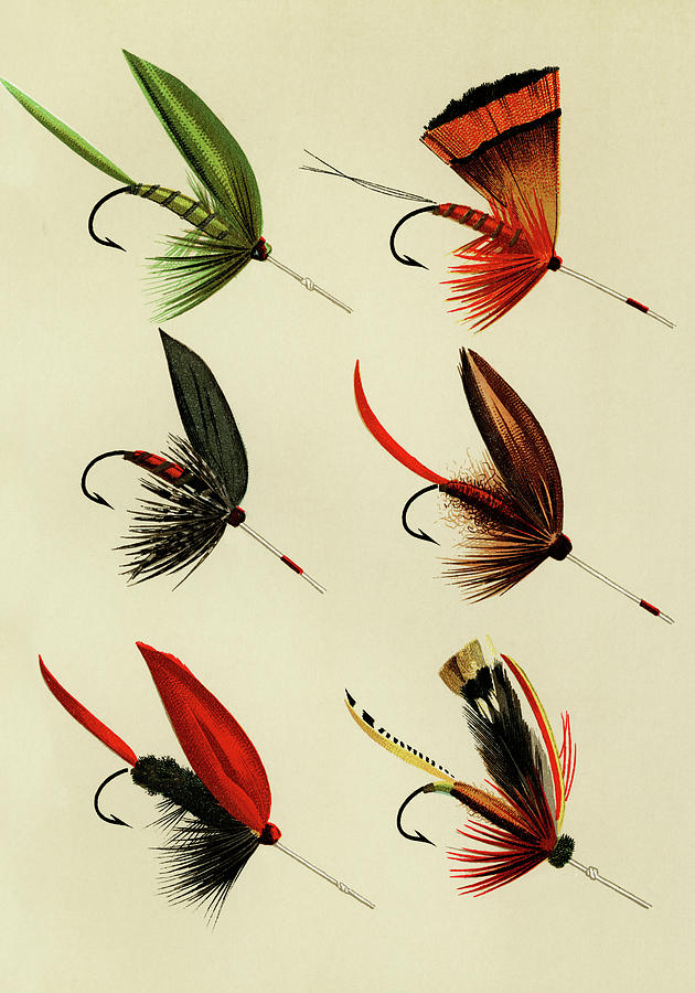 Lake Flies 2 Favorite Flies and Their Histories Mixed Media by Movie Poster Prints