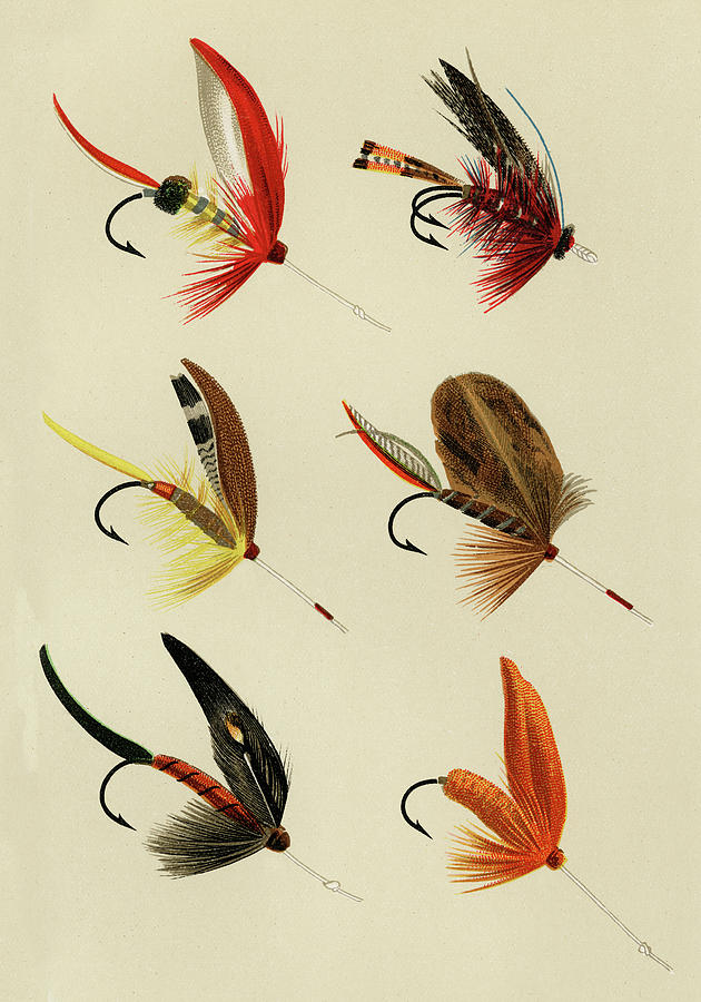 Lake Flies 4 Favorite Flies and Their Histories Mixed Media by Movie Poster Prints