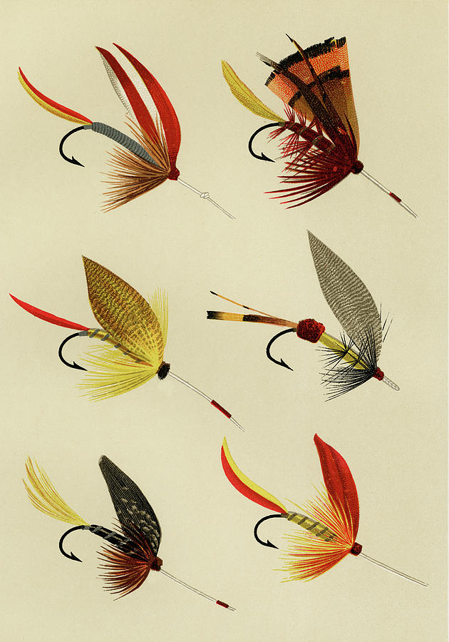 Lake Flies 7 Favorite Flies and Their Histories Mixed Media by Movie Poster Prints