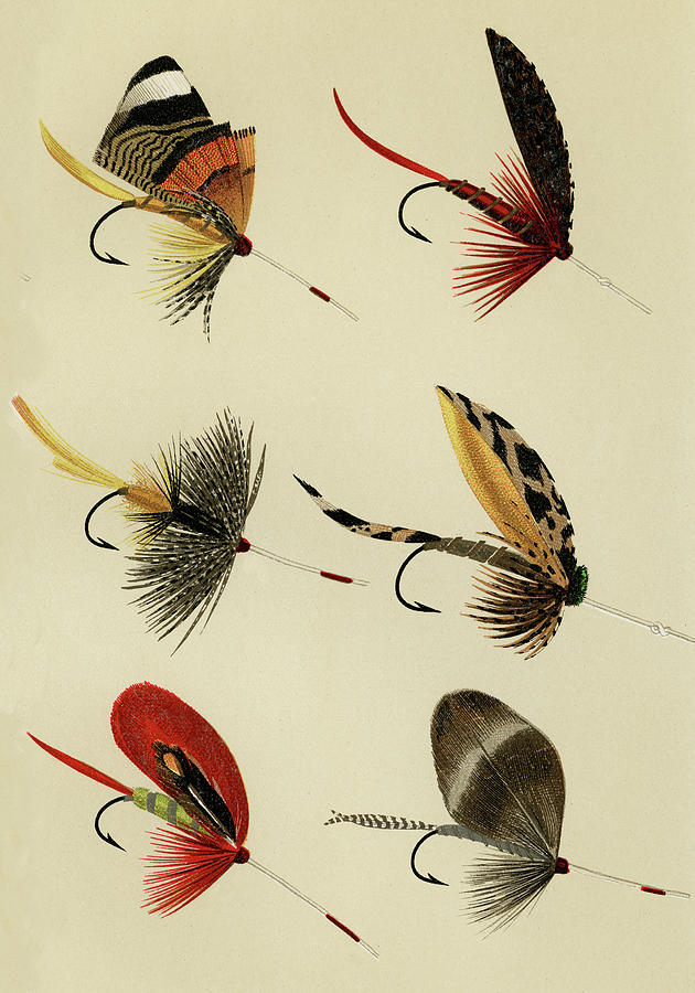 Lake Flies Favorite Flies and Their Histories Mixed Media by Movie Poster Prints