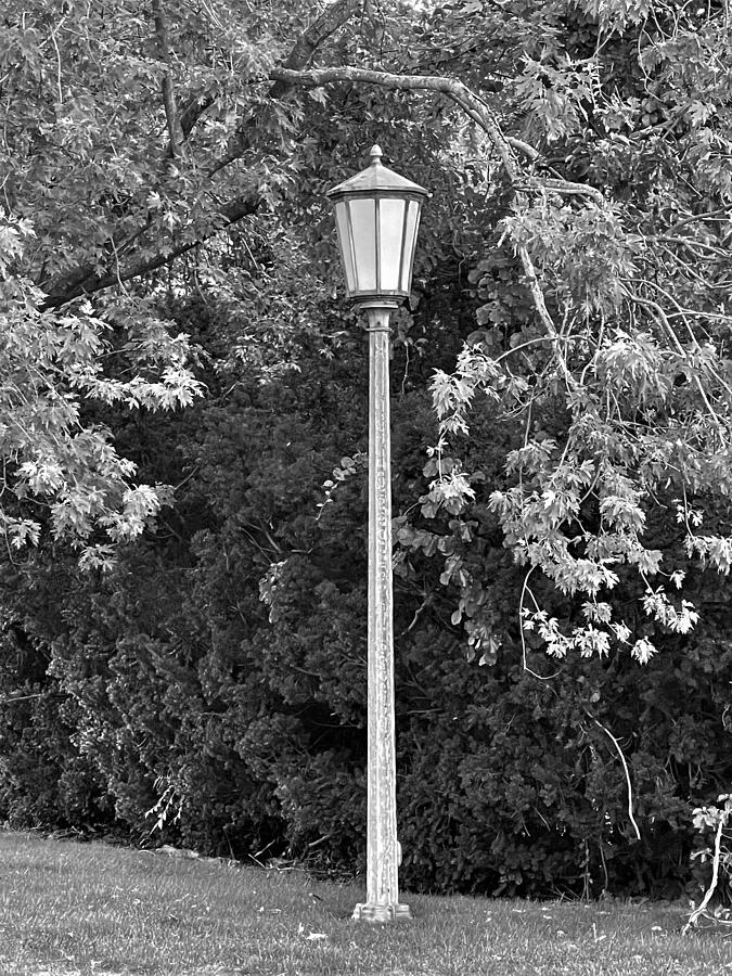Lake Grove Street Lamp Photograph by Rob Hans