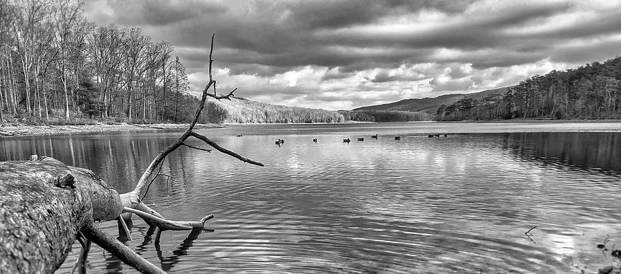 Lake Habeeb In Black and White Photograph by Amber Kresge