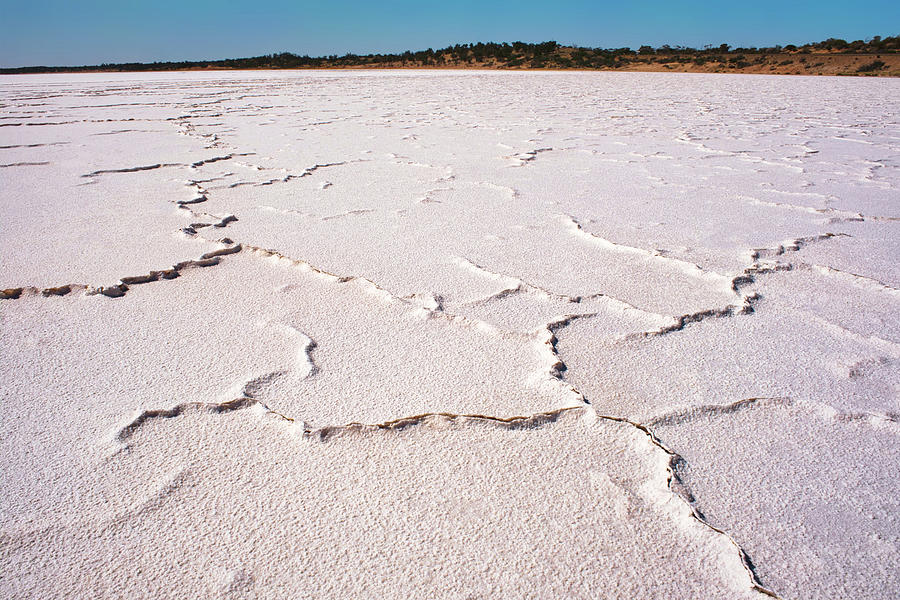 Lake Hart - Dried Salt Photograph by Lexa Harpell
