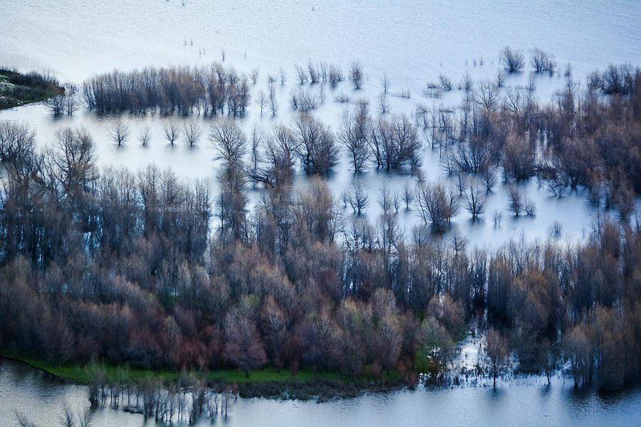 Lake Henshaw Photograph by Kyle Hanson