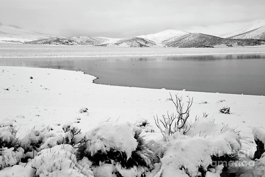 Lake Huana Kota in winter Sajama National Park Bolivia Photograph by James Brunker