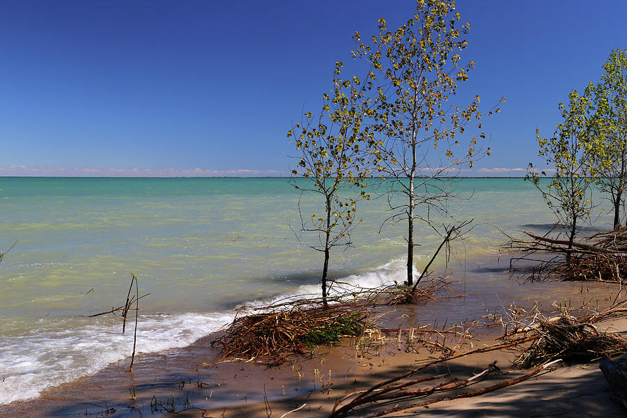 Lake Huron Colors 3 053120 Photograph by Mary Bedy