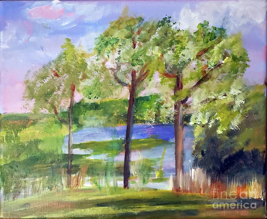 Lake Ida Park East Painting by Donna Walsh