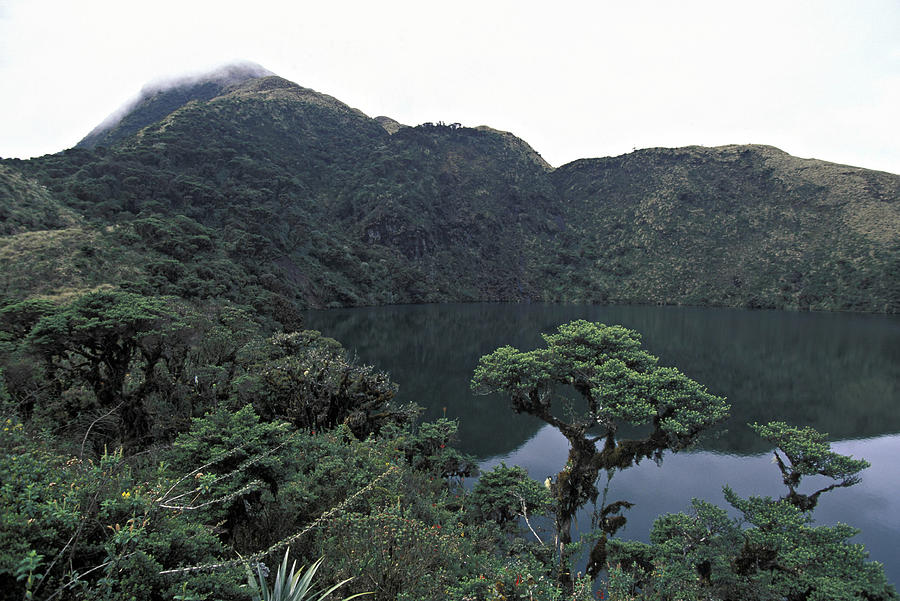 LAKE IN CLOUD FOREST, SANGAY NATIONAL PARK, ANDES MOUNTAINS, ECUADOR, 3450m (142950) H Photograph by Kevin Schafer