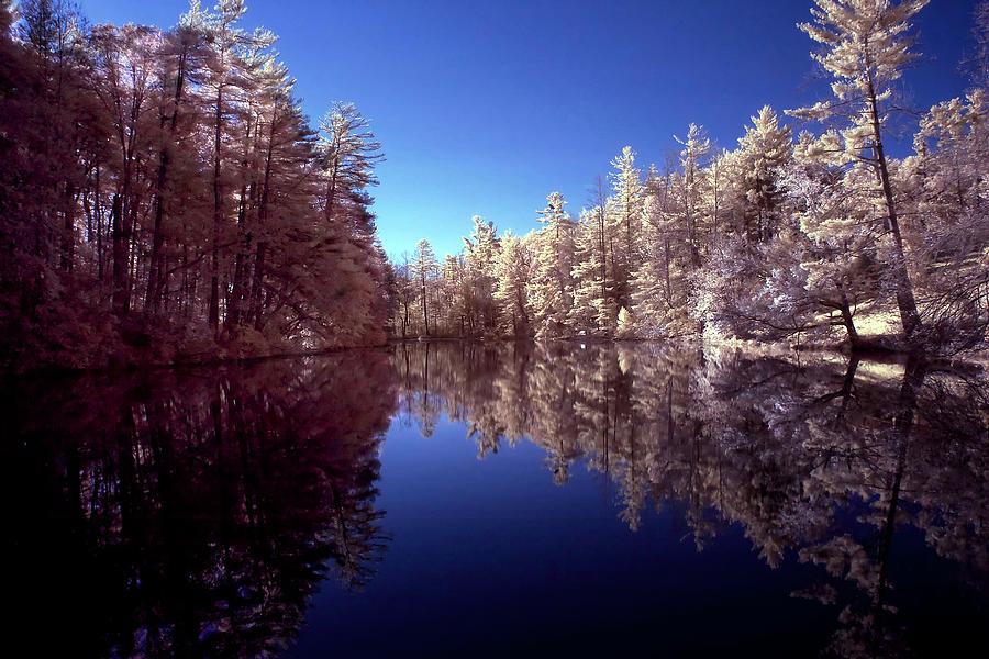 Lake in Infrared  Photograph by Anthony M Davis