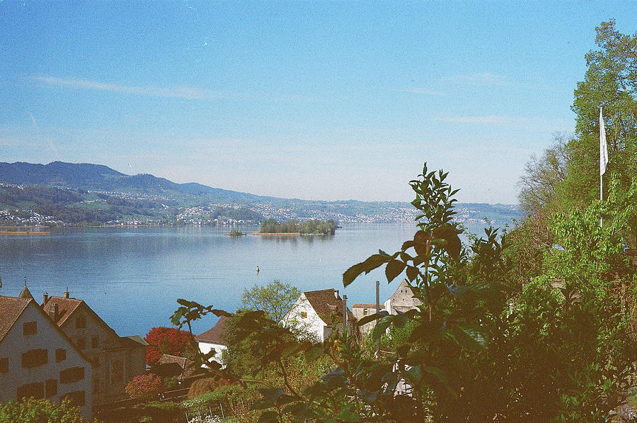 Tree Photograph - Lake In Switzerland on Film by Bianca Muniz